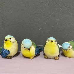 ***Blue & yellow birds (L)